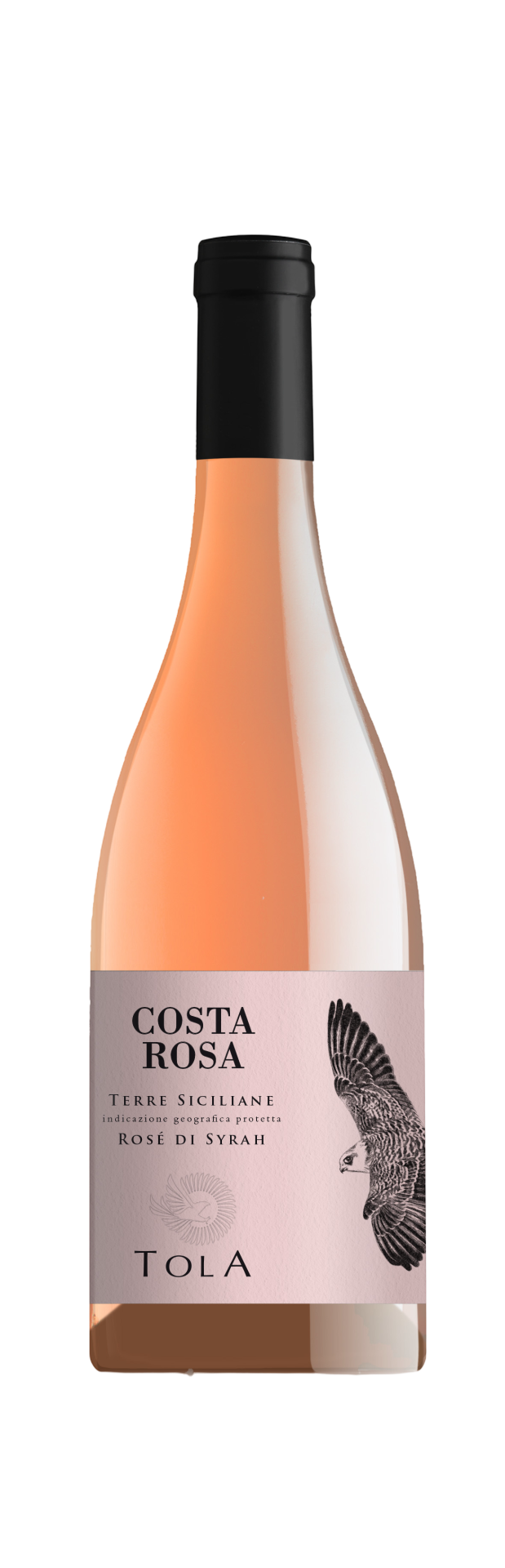 Costarosa